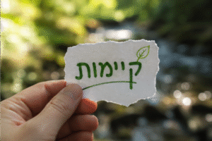 קיימות - לא טרנד ירוק