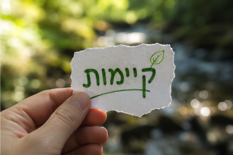 קיימות - לא טרנד ירוק