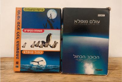 אוסף סרטי טבע מרהיבים BBC